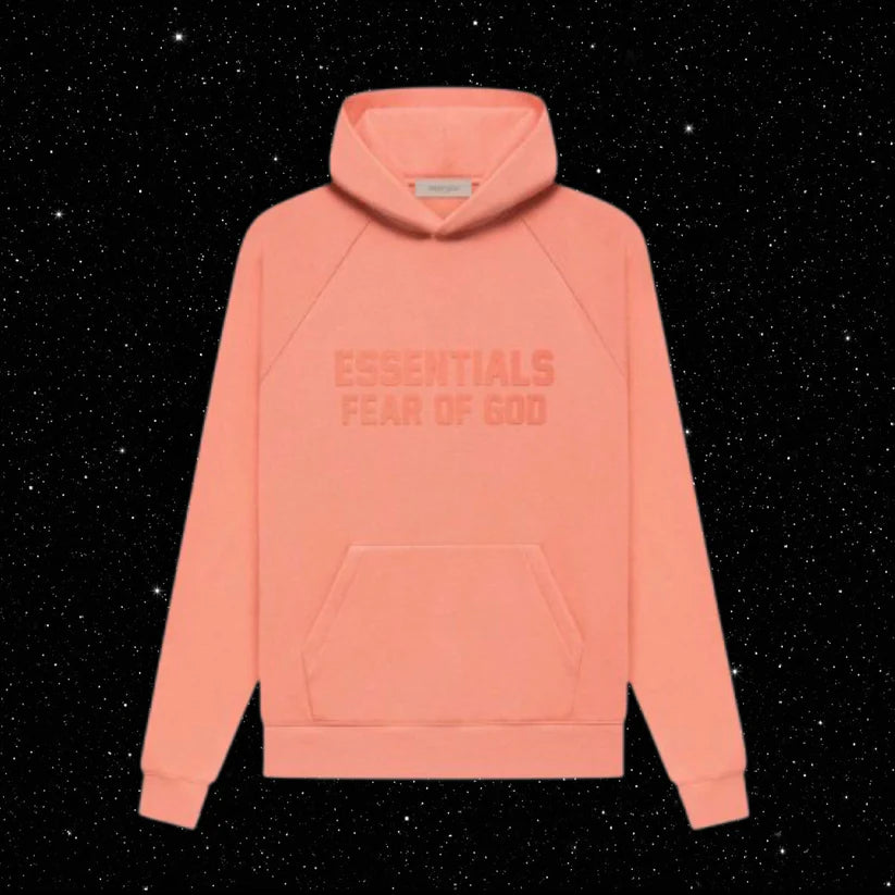 ESS3NT14LS HOODIES